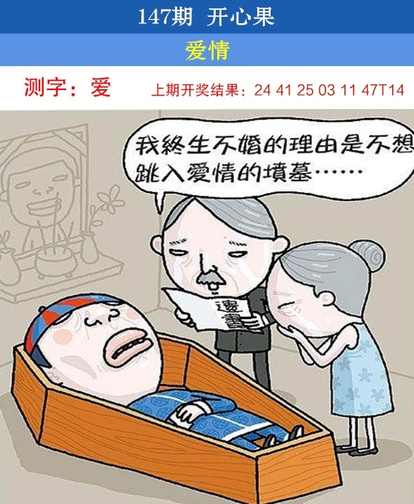 147期开心果先锋