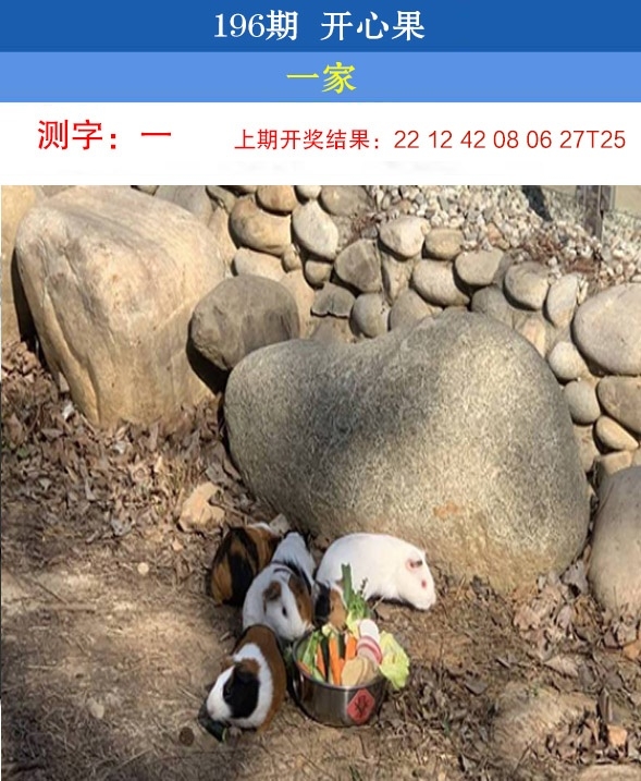 196期开心果先锋
