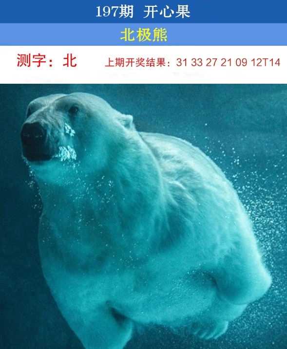 197期开心果先锋