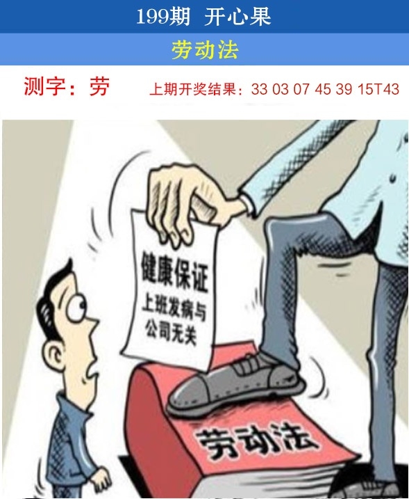 199期开心果先锋