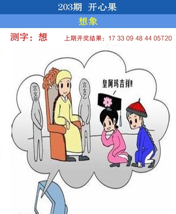 203期开心果先锋