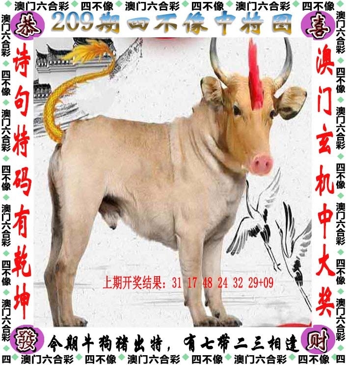 209期：澳門四不像