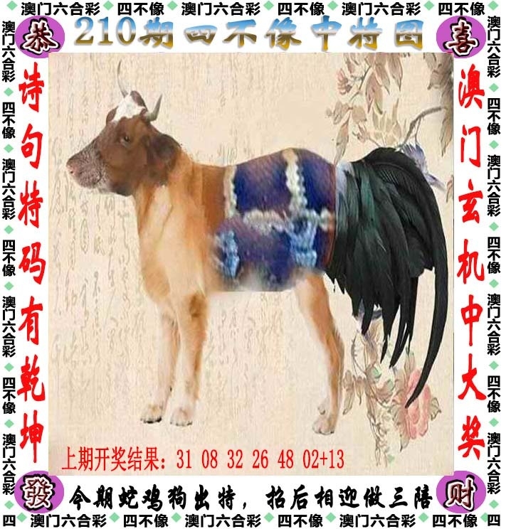 210期：澳門四不像