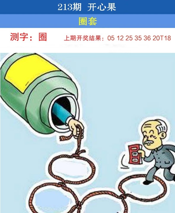 213期开心果先锋