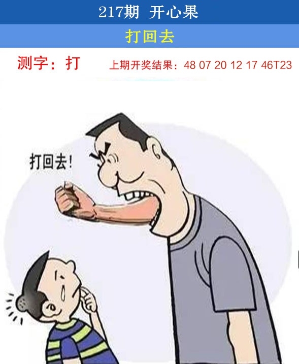 217期开心果先锋