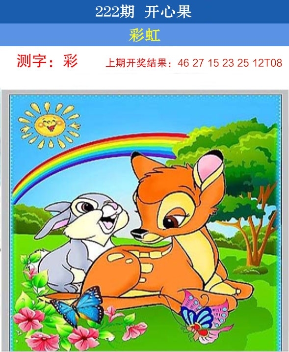 222期开心果先锋