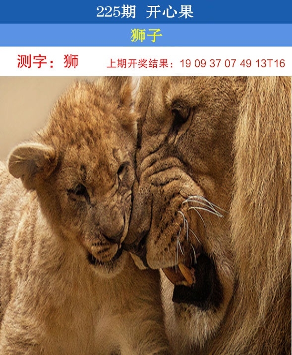 225期开心果先锋