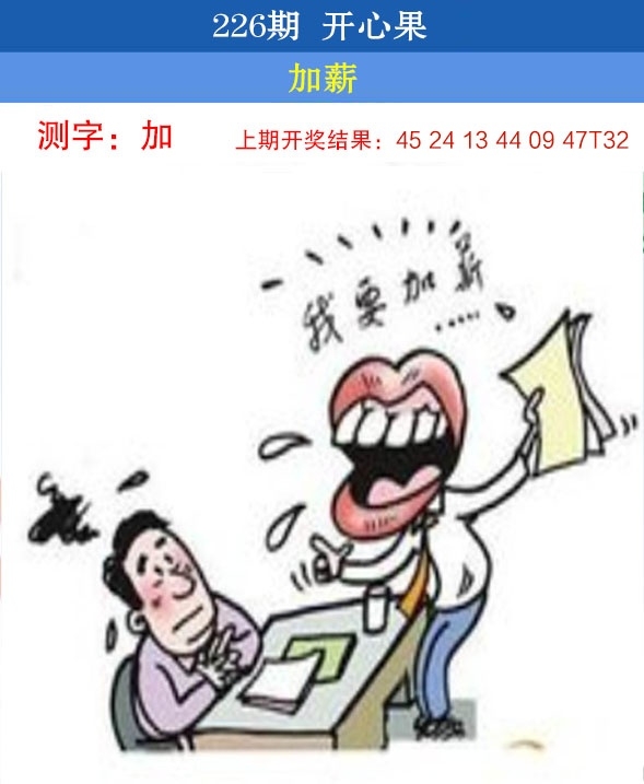 226期开心果先锋