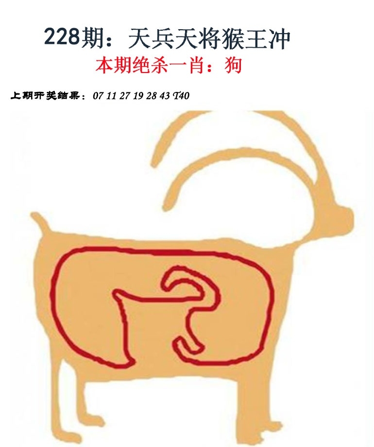 228期金钱豹功夫