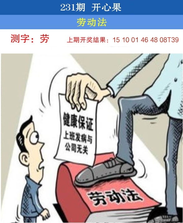 231期开心果先锋