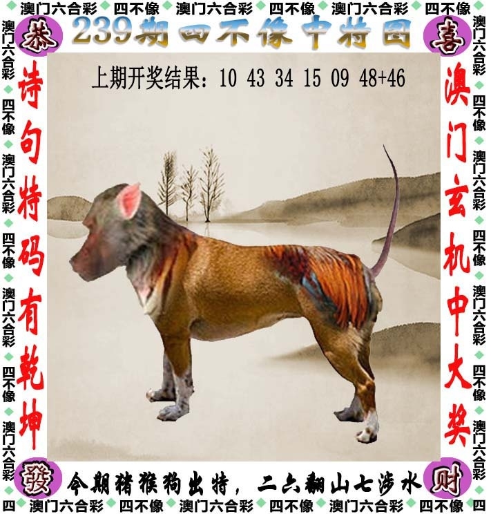 239期：澳門四不像