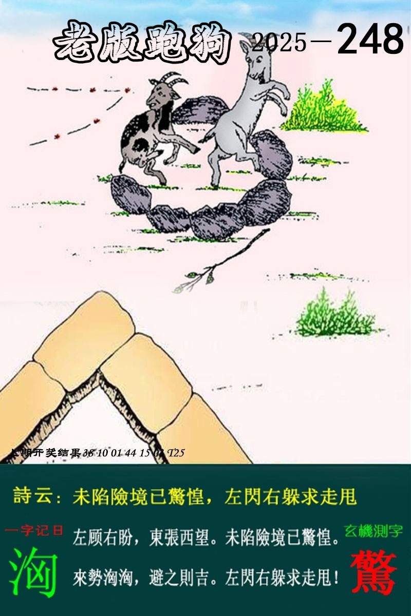 248期版跑狗圖